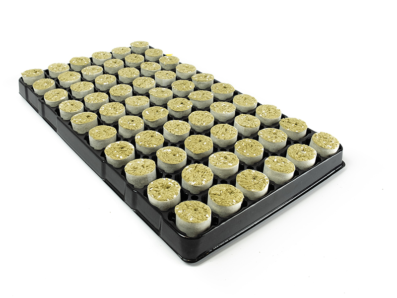 Lumora Horticulture glastuinbouw